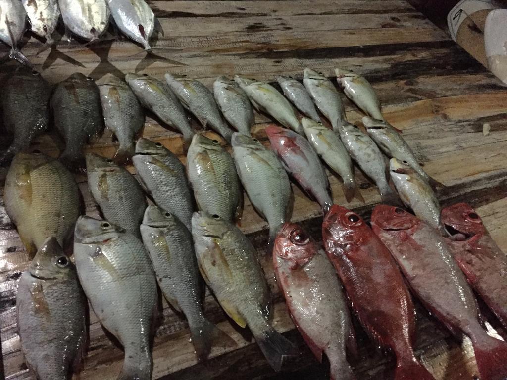 Huraa East Inn المظهر الخارجي الصورة