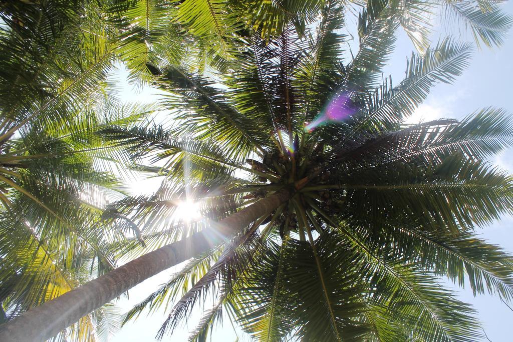 Huraa East Inn المظهر الخارجي الصورة